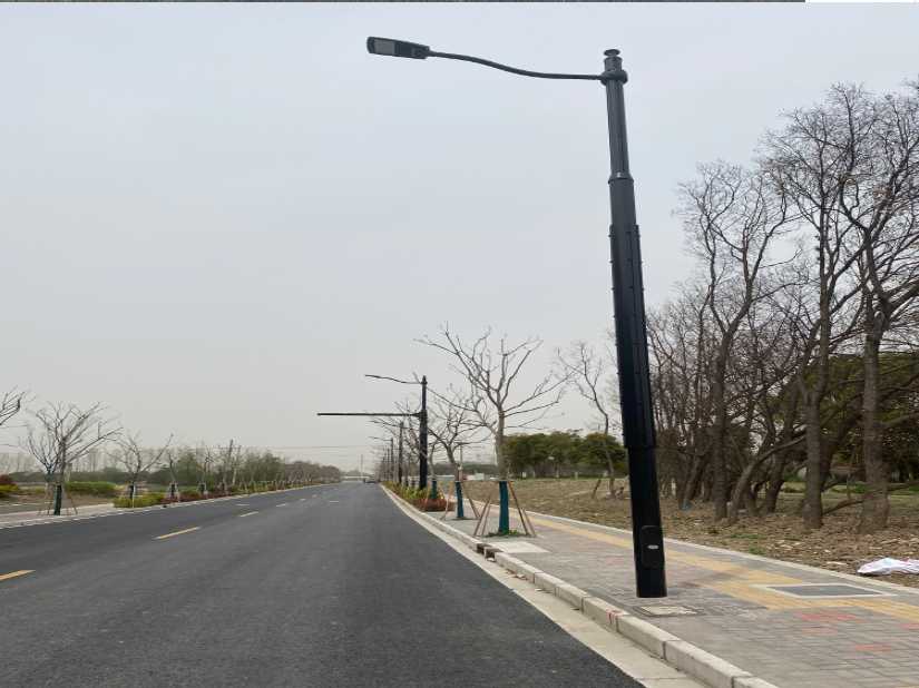 额济纳旗上海综合杆 太阳能路灯工程